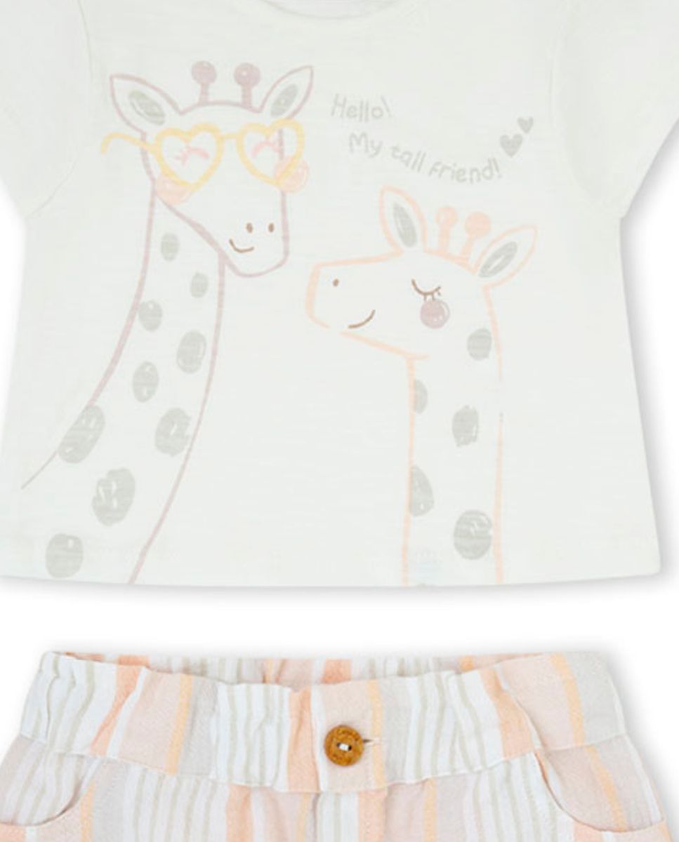 CONJUNTO CRUDO