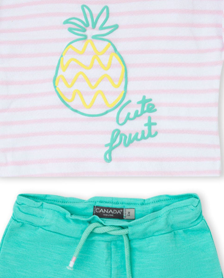 CONJUNTO ROSA