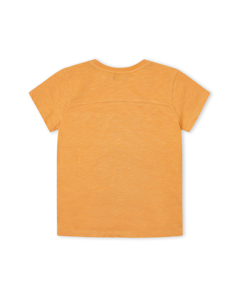 CAMISETA NARANJA