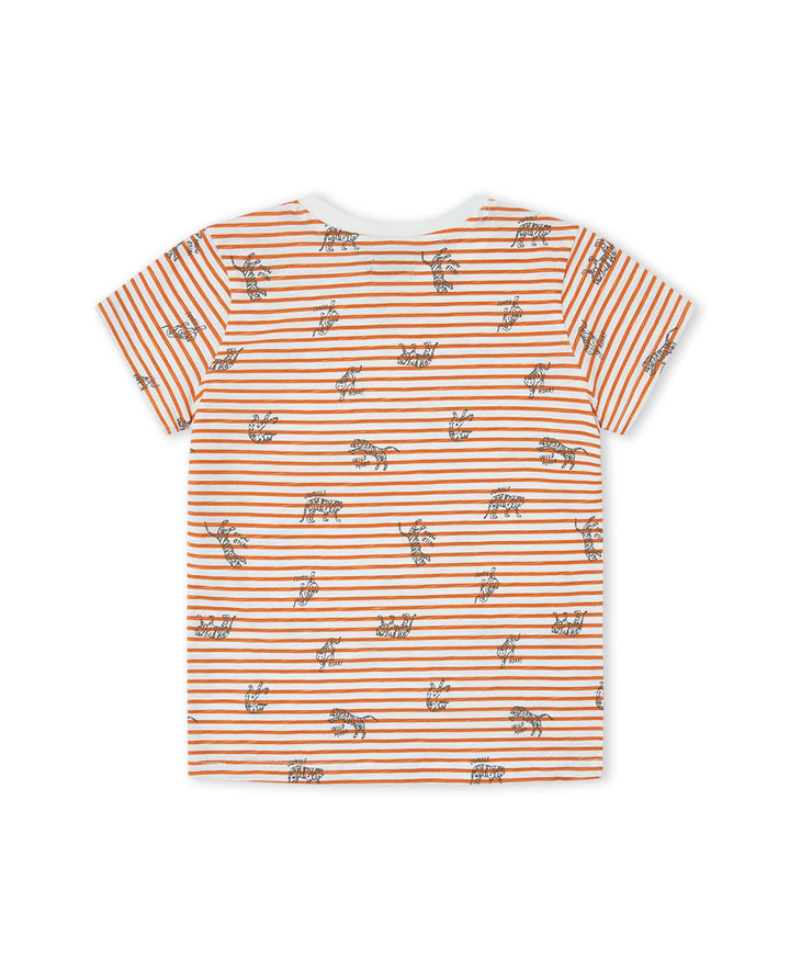 CAMISETA MULTICOLOR