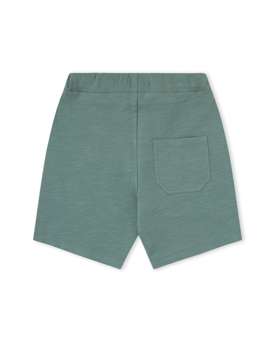 BERMUDA VERDE