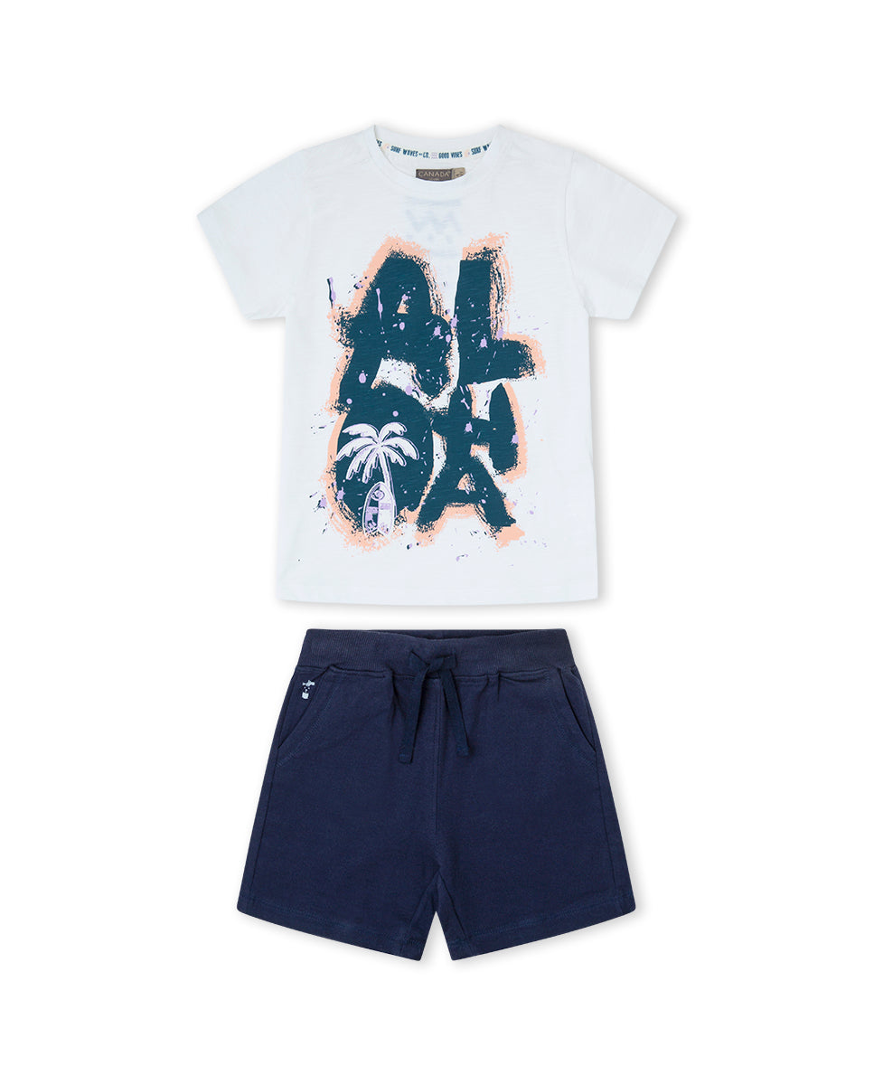CONJUNTO GRIS VIG. CLARO