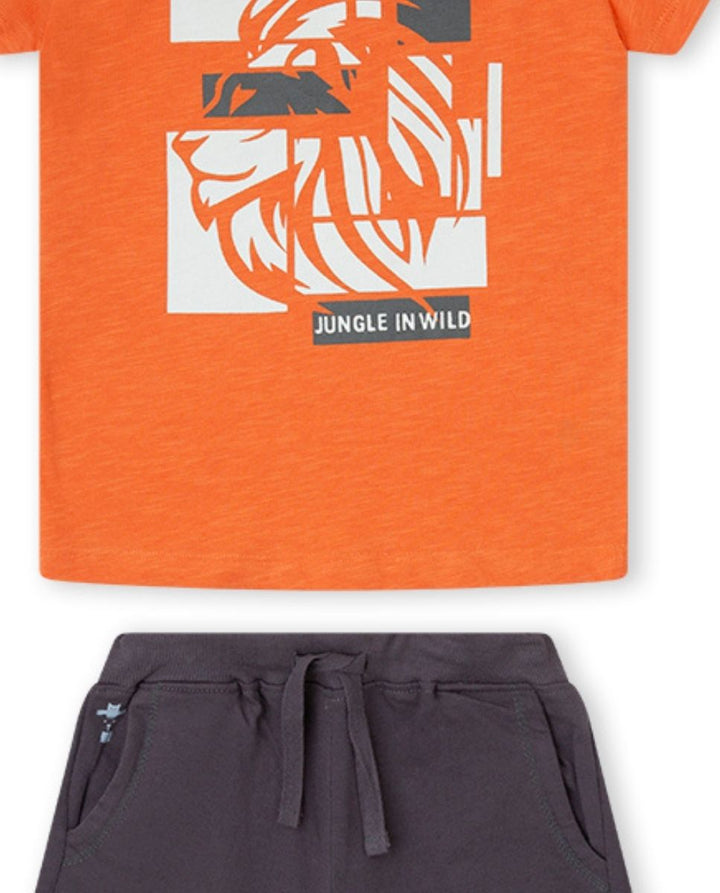 CONJUNTO NARANJA