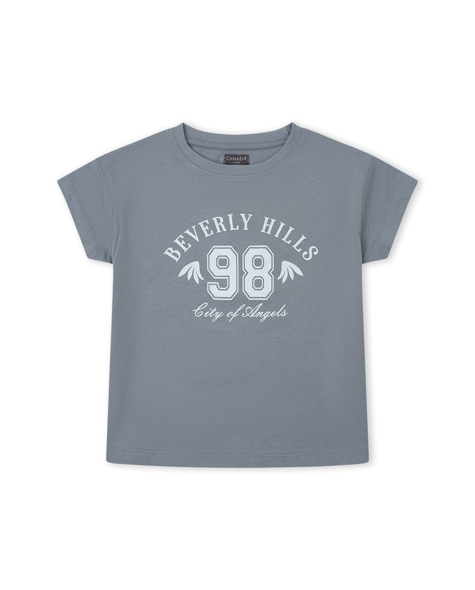 CAMISETA GRIS