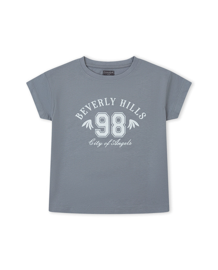 CAMISETA GRIS