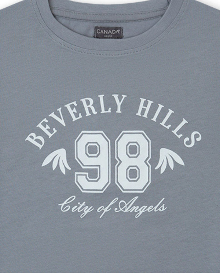 CAMISETA GRIS