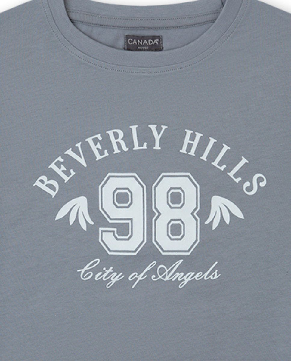 CAMISETA GRIS