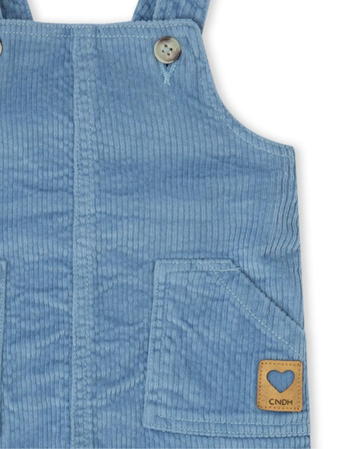 PICHI INDIGO