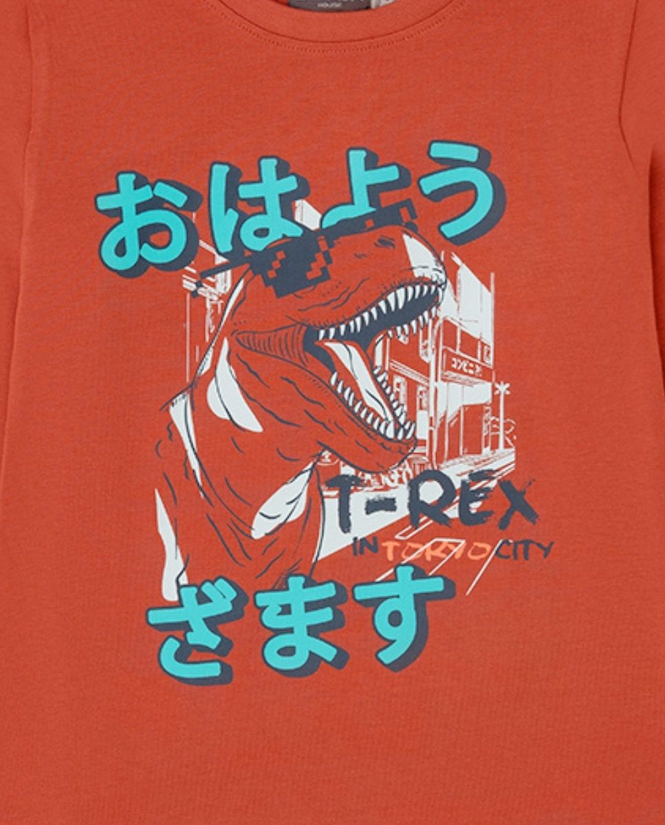 CAMISETA MARRÓN
