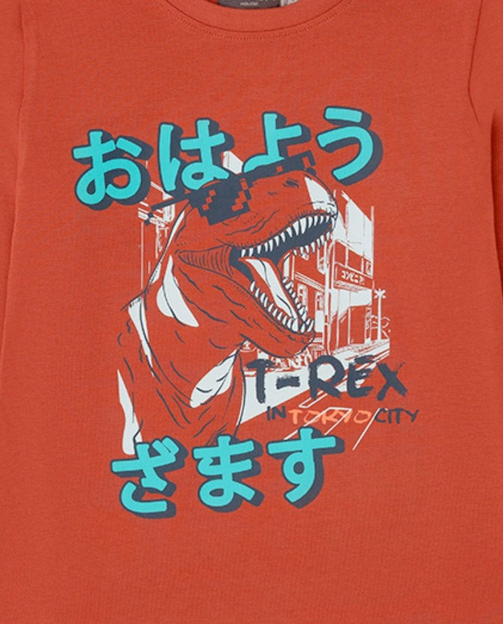 CAMISETA MARRÓN